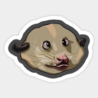 Baby Possum Sticker